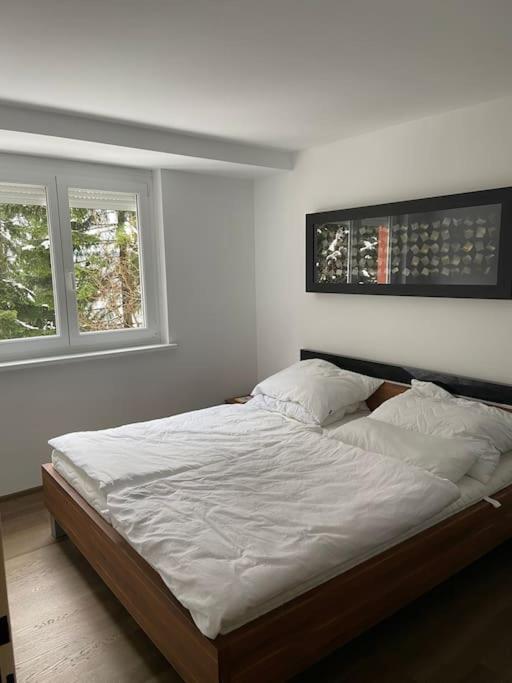 Seewohnung Mit Direktem Seezugang-Skiliftnaehe Villach Exterior photo